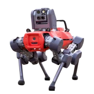Automated inspection dog